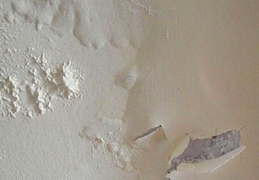 【内墙常见问题】如何解决涂膜表面长霉问题？