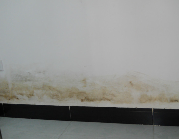 【内墙常见问题】如何解决涂膜变黄问题？